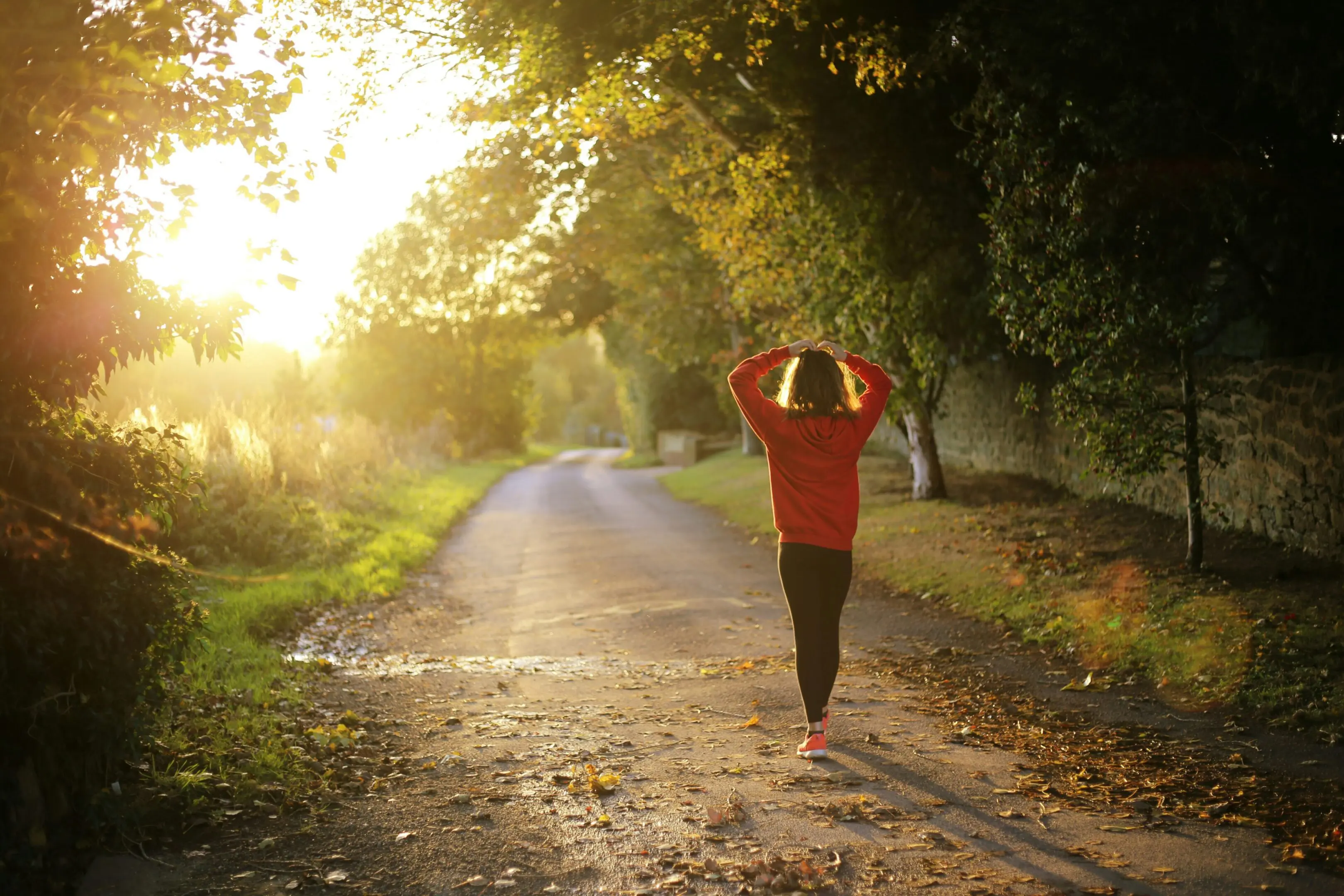 Person walking on sunlit forest path.